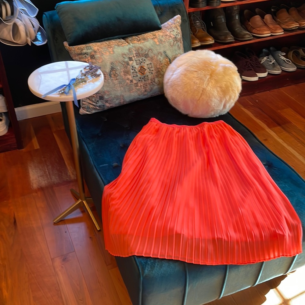 Pleated Skirt - Picture 2 of 4